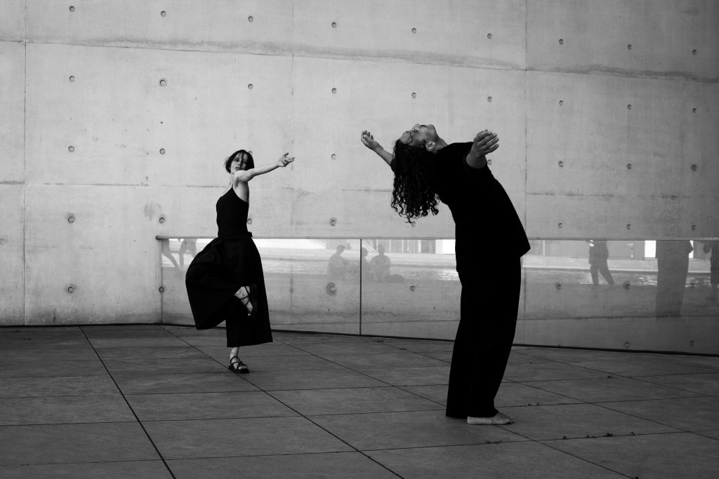 dance therapy courses online